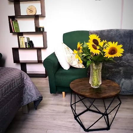 W Zlotym Stoku Przystanek شقة *