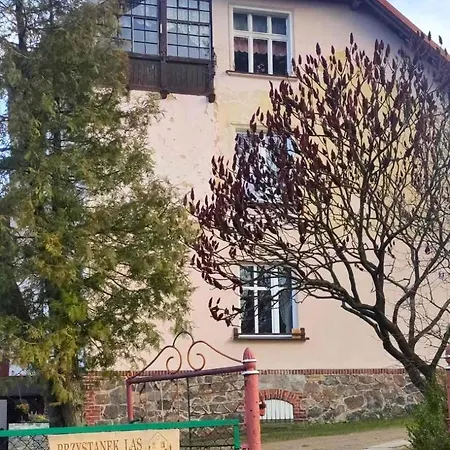 W Zlotym Stoku Przystanek アパート Złoty Stok